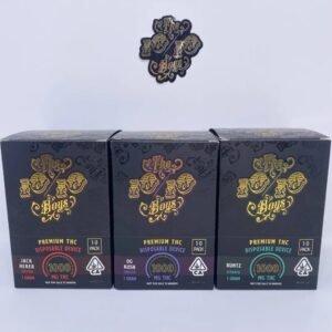 10/10 disposable vape pen