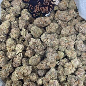 high society strain