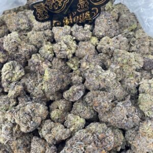 gelato 45