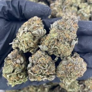 grape gusher strain