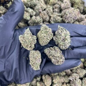gumball runtz strain