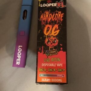 looper xl